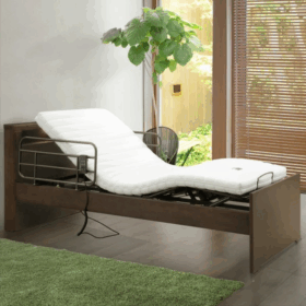 WeDOStyle（ 非課税）ポジション 2モーター電動ベッド